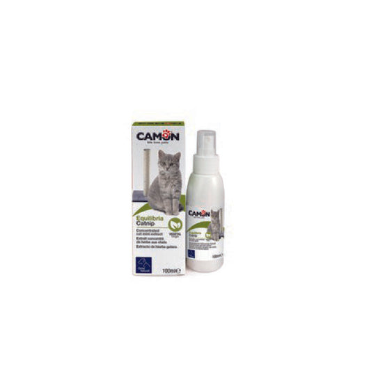 CATNIP  ml.100