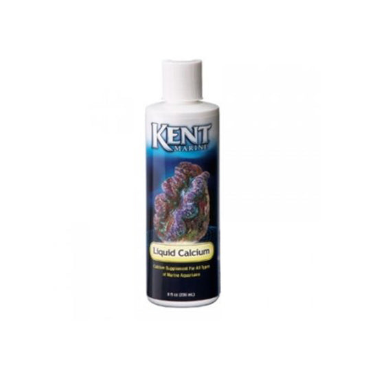 KENT LIQUID CALCIUM 237 ML